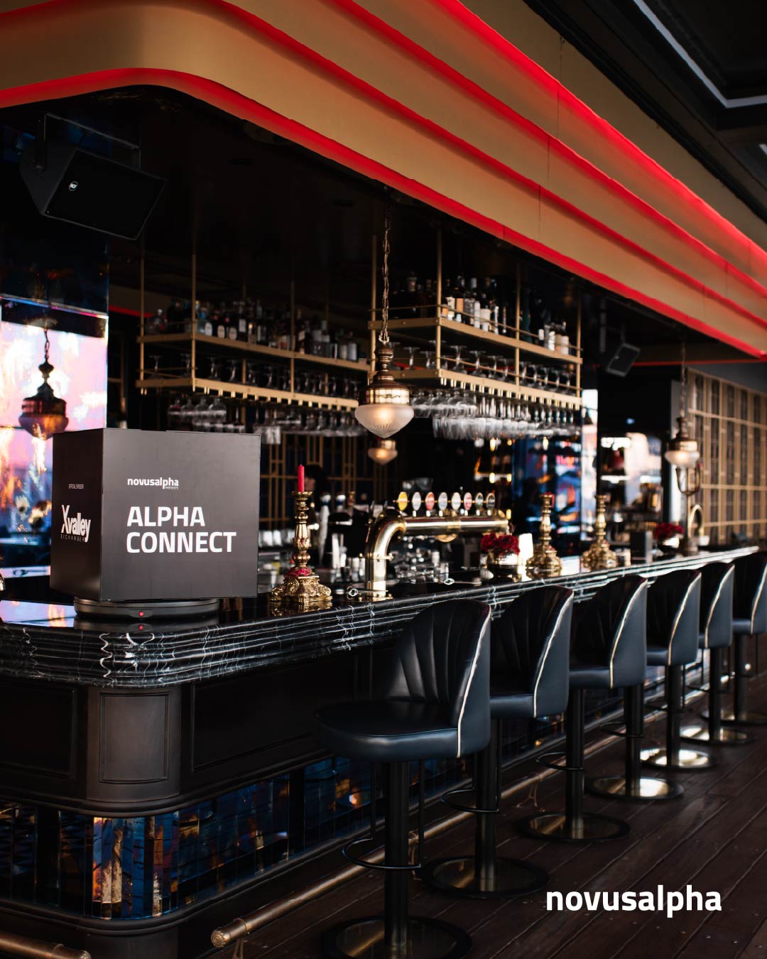 alpha connect 2025